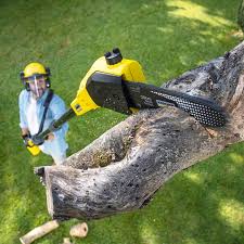 Lawn Watering Services in Hideaway, TX